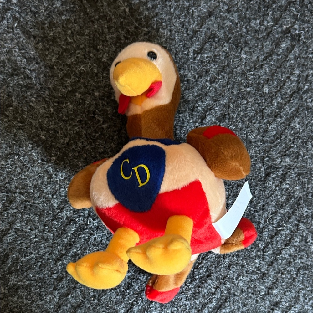 A Turkey Bird🦃